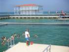imgp0194_small.jpg