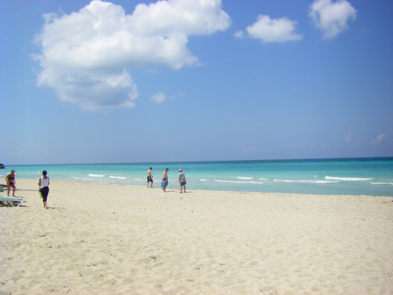 imgp0249.jpg
