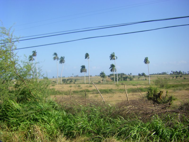 imgp0267.jpg