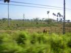 imgp0268_small.jpg