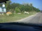 imgp0269_small.jpg