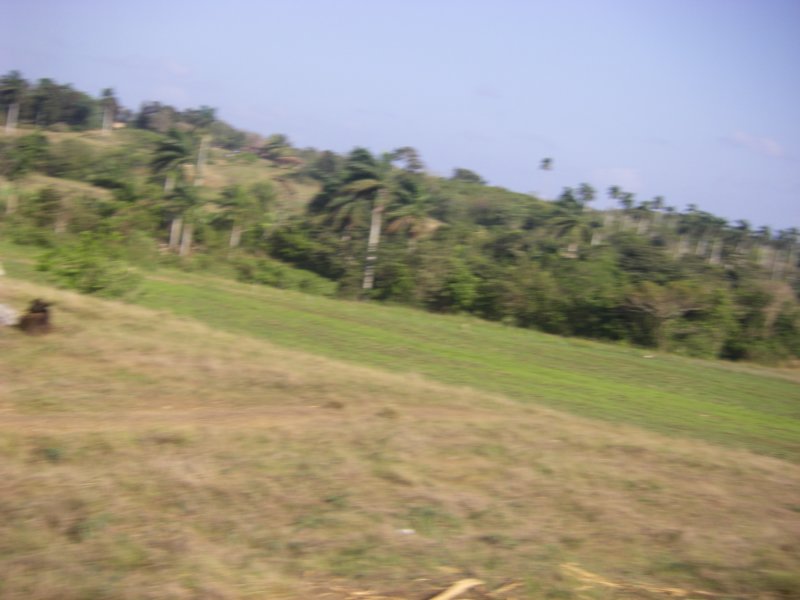 imgp0270.jpg