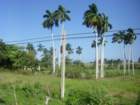 imgp0271_small.jpg