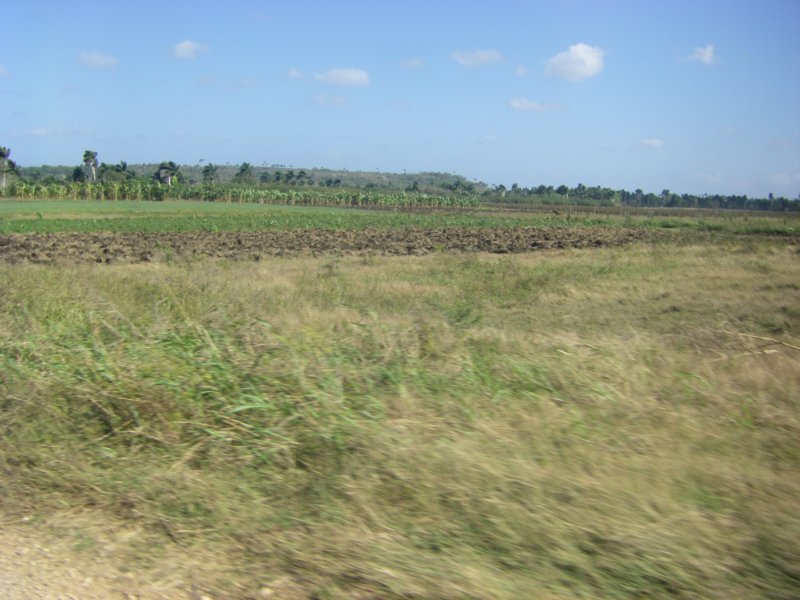 imgp0281.jpg