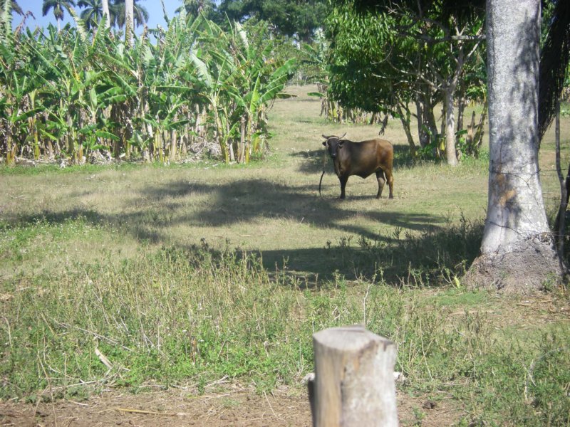 imgp0285.jpg