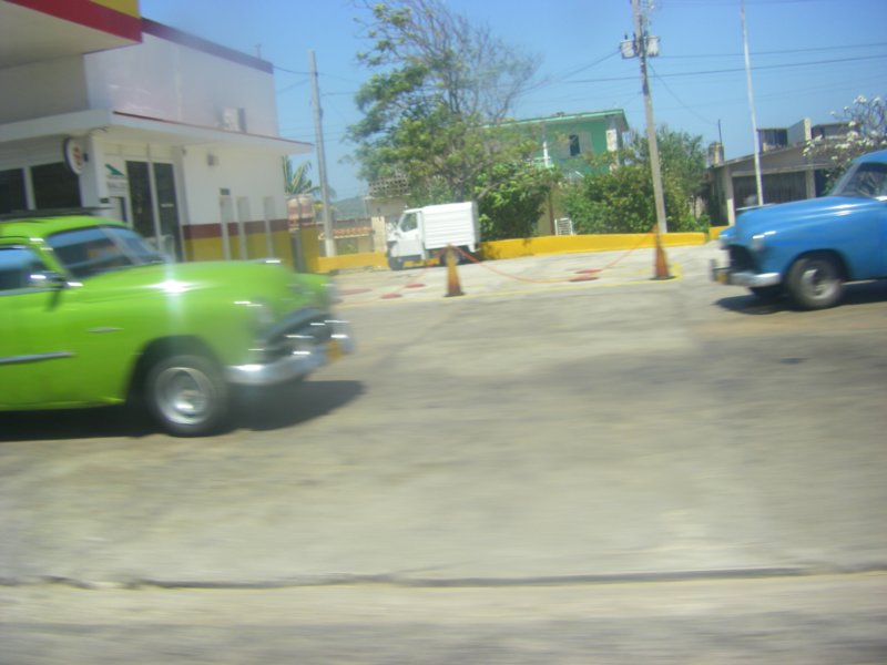 imgp0309.jpg