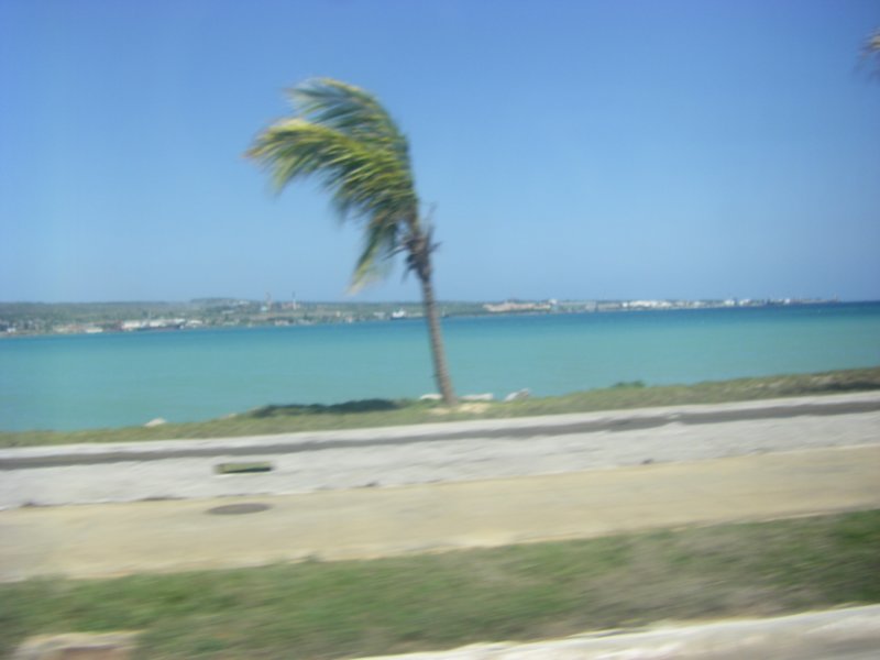 imgp0310.jpg