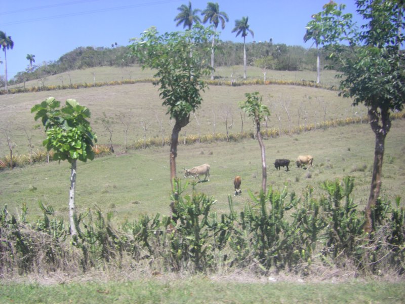 imgp0316.jpg