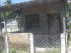 imgp0317_small.jpg