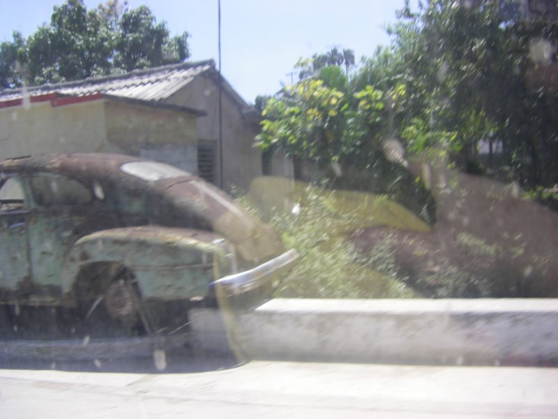imgp0318.jpg