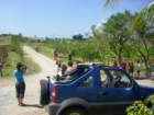 imgp0319_small.jpg