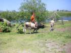 imgp0322_small.jpg