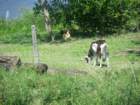 imgp0324_small.jpg