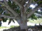 imgp0326_small.jpg