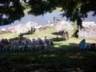 imgp0327_small.jpg