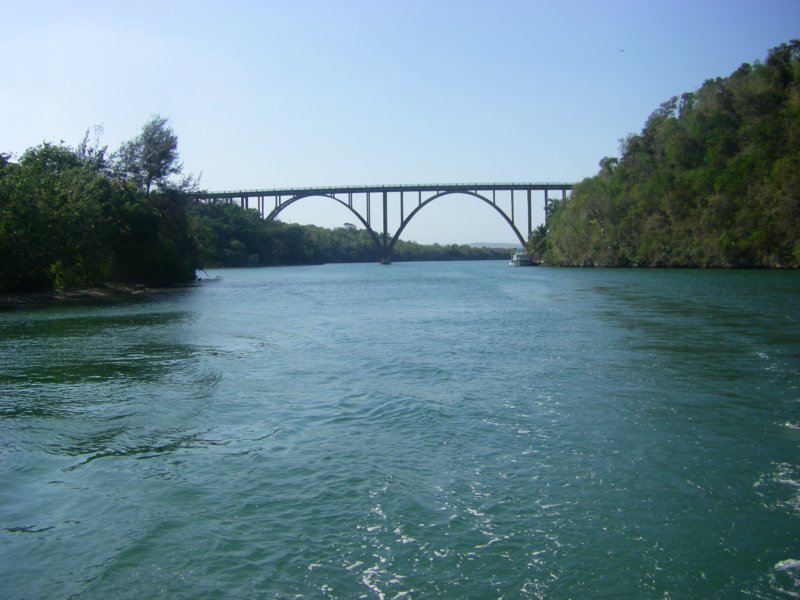 imgp0350.jpg