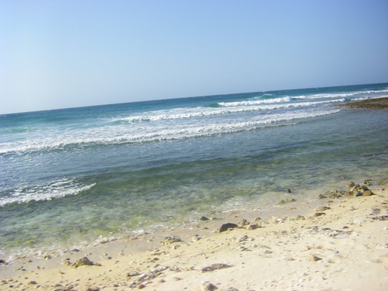 imgp0362.jpg