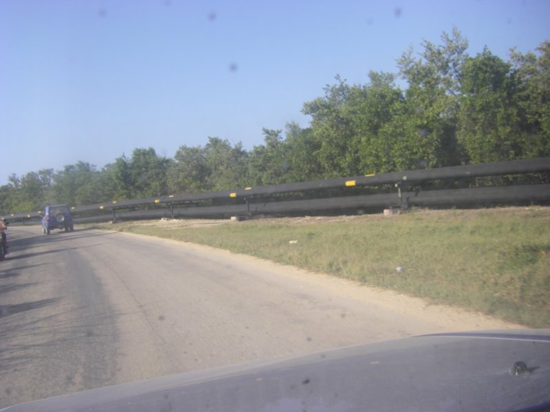 imgp0364.jpg