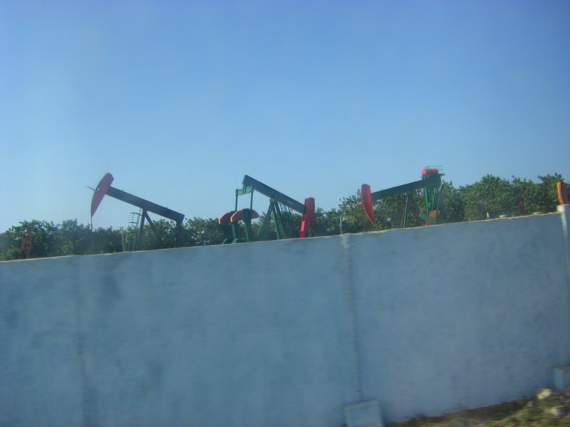 imgp0366.jpg