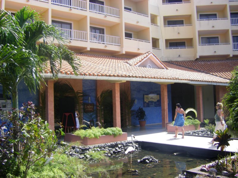 imgp0395.jpg