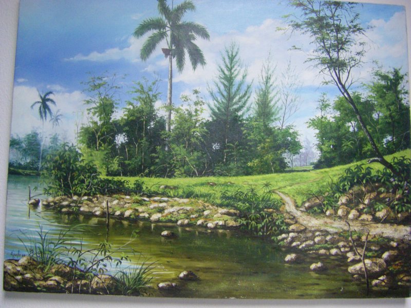 imgp0411.jpg