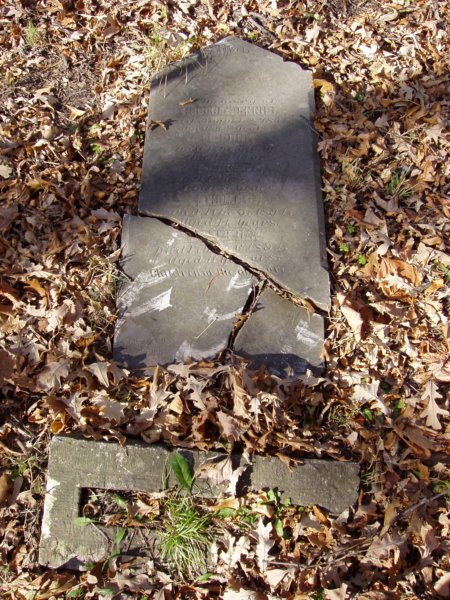 emerson004.jpg