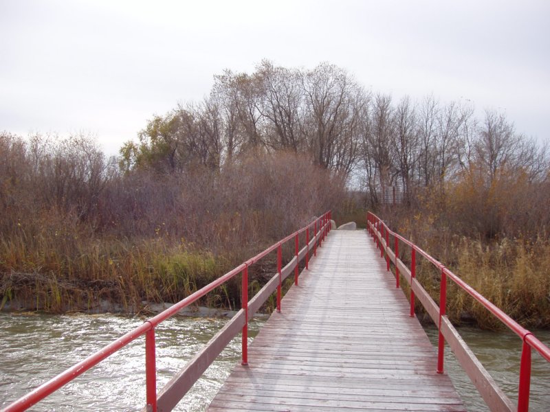 winnipeg016.jpg
