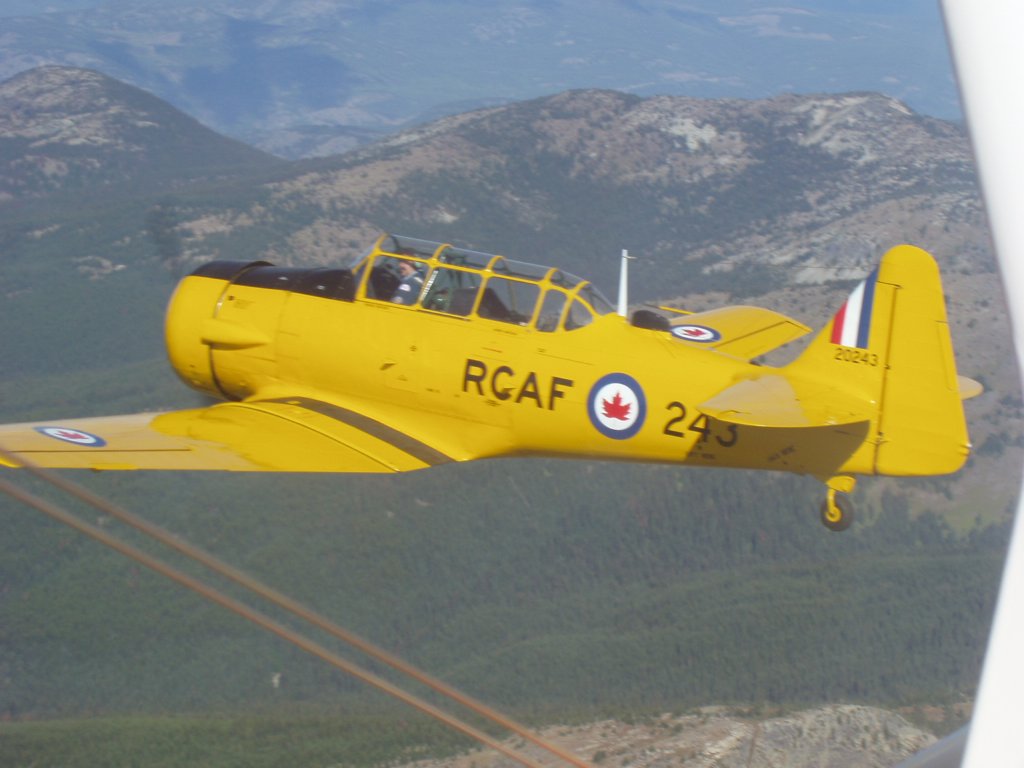 harvard7.jpg