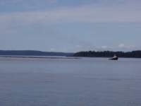 p6180044_small.jpg