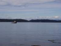 p6180053_small.jpg