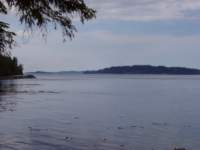 p6180057_small.jpg