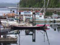 p6200013_small.jpg