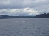 p6200028_small.jpg