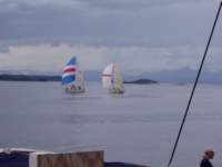 p6200036_small.jpg