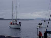 p6200043_small.jpg