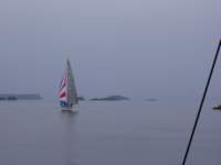 p6200048_small.jpg