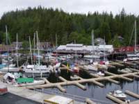 p6200056_small.jpg