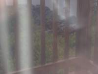 p6200063_small.jpg