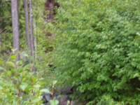 p6200066_small.jpg