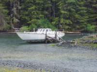 p6200068_small.jpg